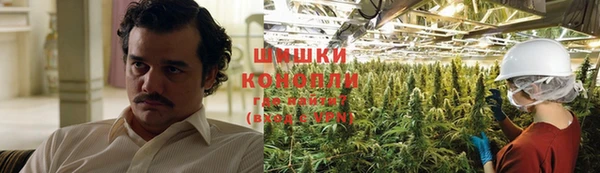 крисы Щучье