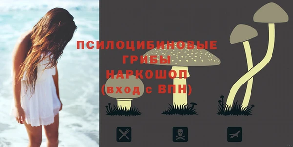 скорость Дмитриев