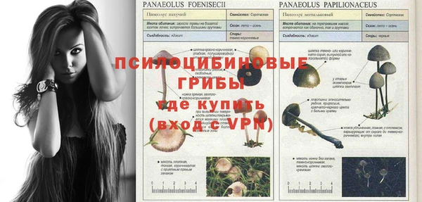 мефедрон мука Дмитровск