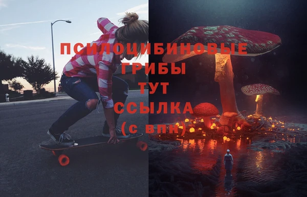 крисы Щучье