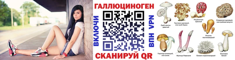 hydra ссылка  Плёс  Галлюциногенные грибы MAGIC MUSHROOMS 